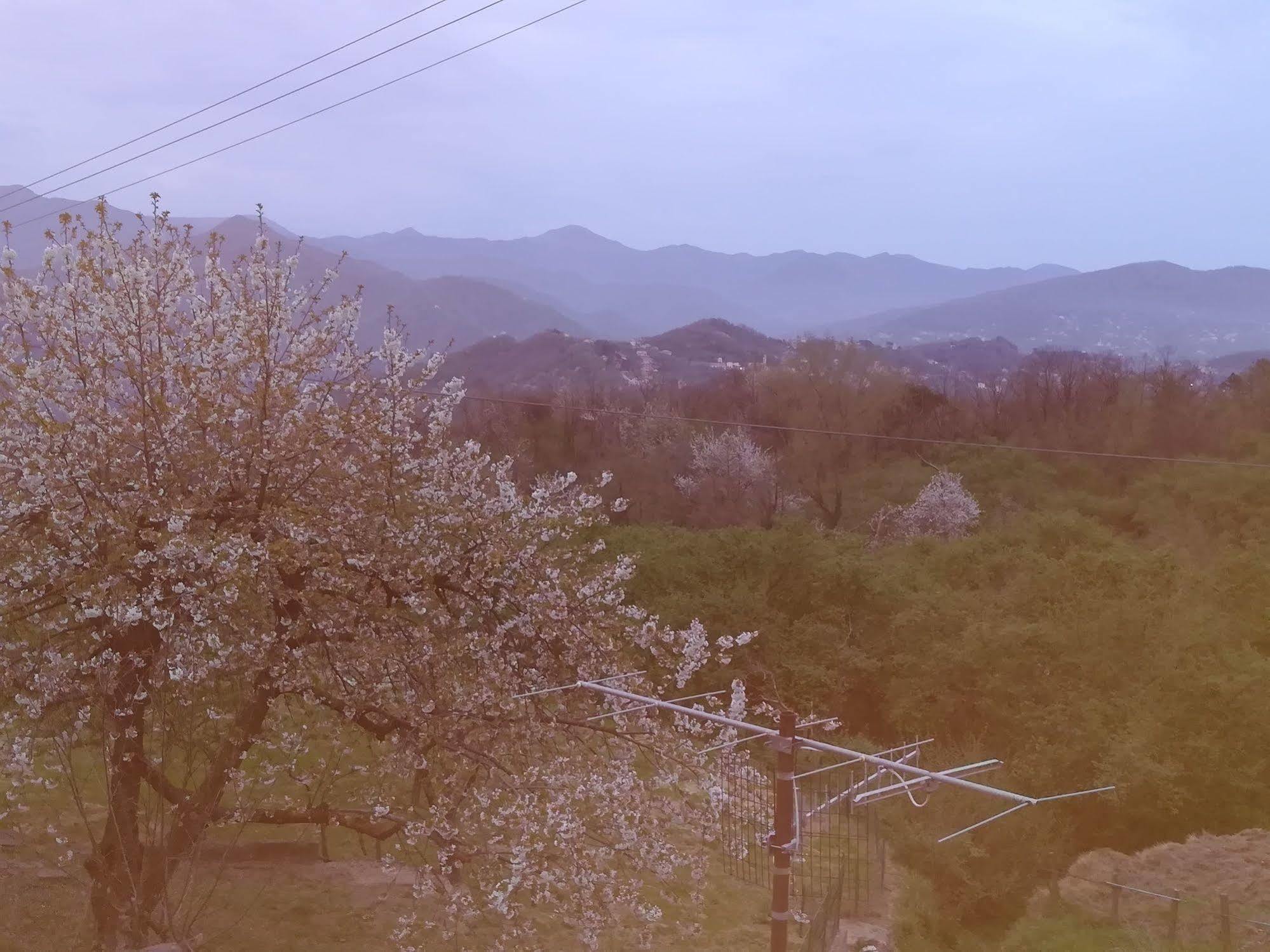 Locanda Primo Sole Leivi 外观 照片